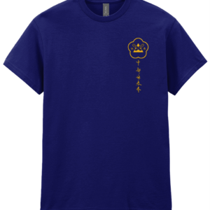 Training T-shirt